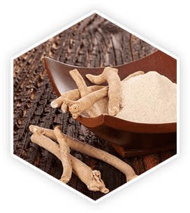 Panax Ginseng & Tongkat Ali